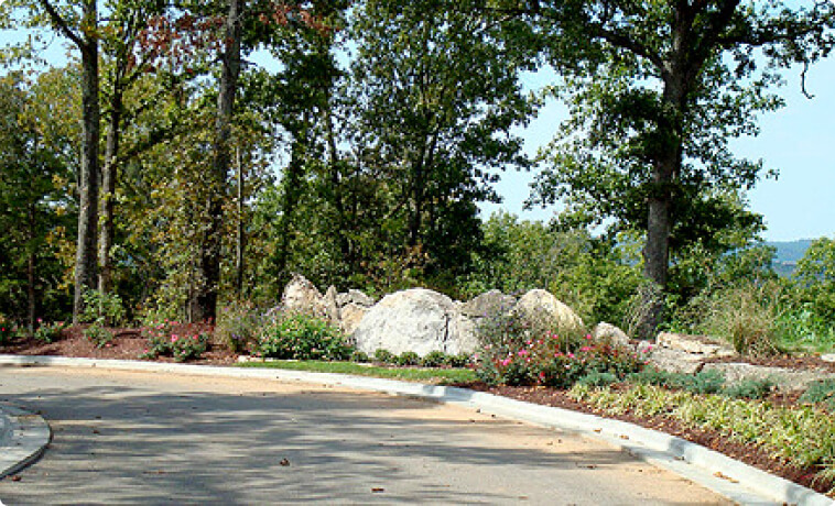 Lake View & Lakefront Estate Lots