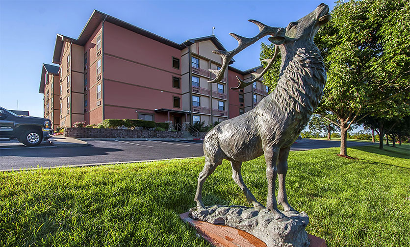 Comfort Inn & Suites Branson Meadows